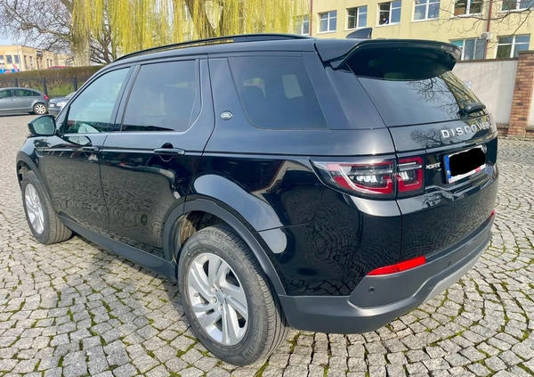 Land Rover Discovery Sport cena 149000 przebieg: 36000, rok produkcji 2020 z Syców małe 232